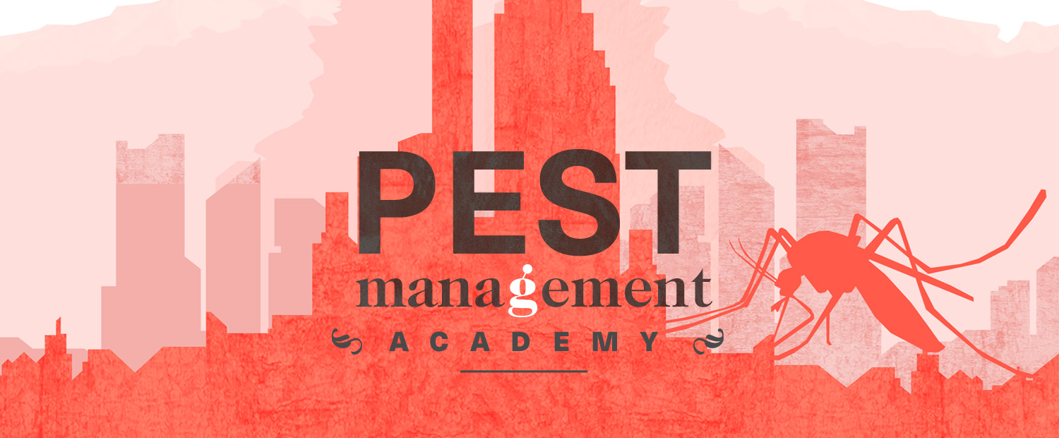 PMA Banner 2.jpg