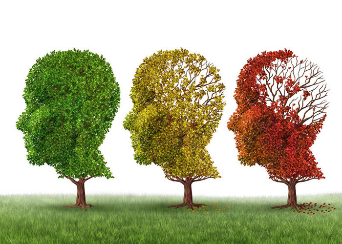 Psychology of Ageing