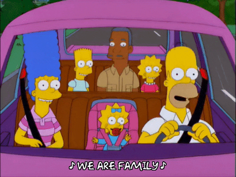 The Simpsons Rake Gif