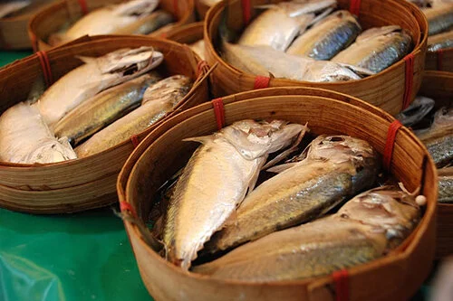 MLC-Foundation-in-Aquaculture-Technology.jpg