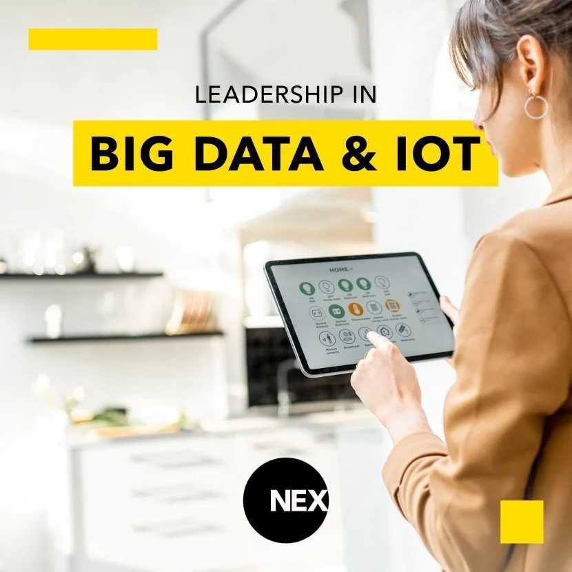 Leadership in Big Data and IoT