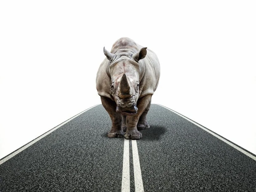 What's Your Gray Rhino? A Framework for Wrangling Your Biggest Challenges [Personal Version]