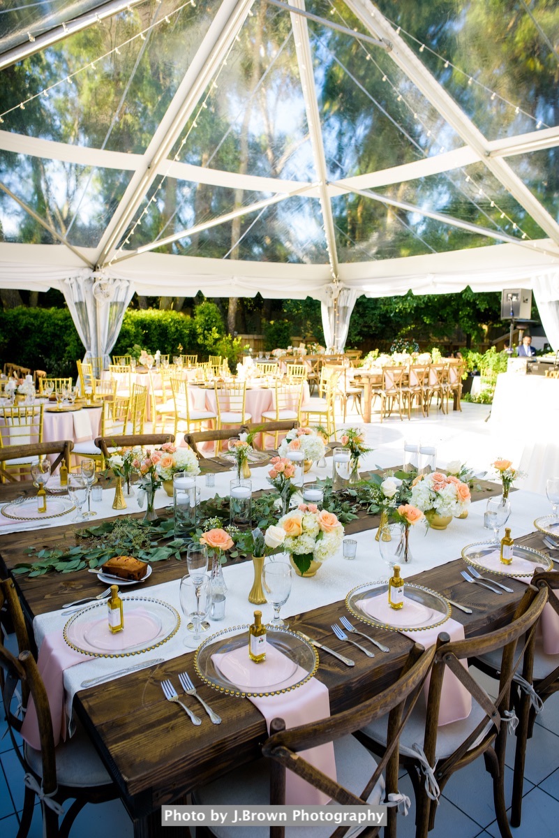 Backyard Clear Tented Wedding | Gold + Blush Persian Wedding34.JPG