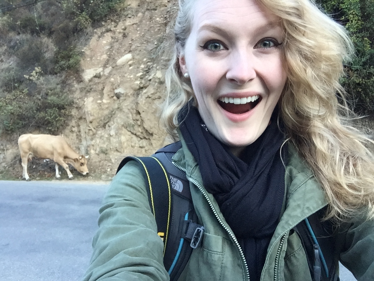 Taking a potentially risky selfie with a Corsican cow.