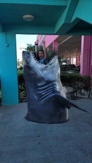4587.jpg