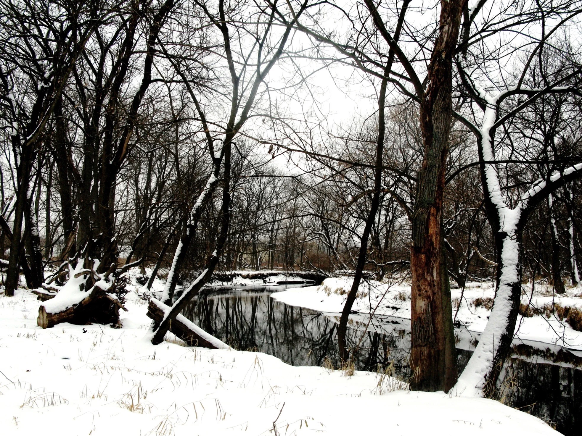Wandering Creek