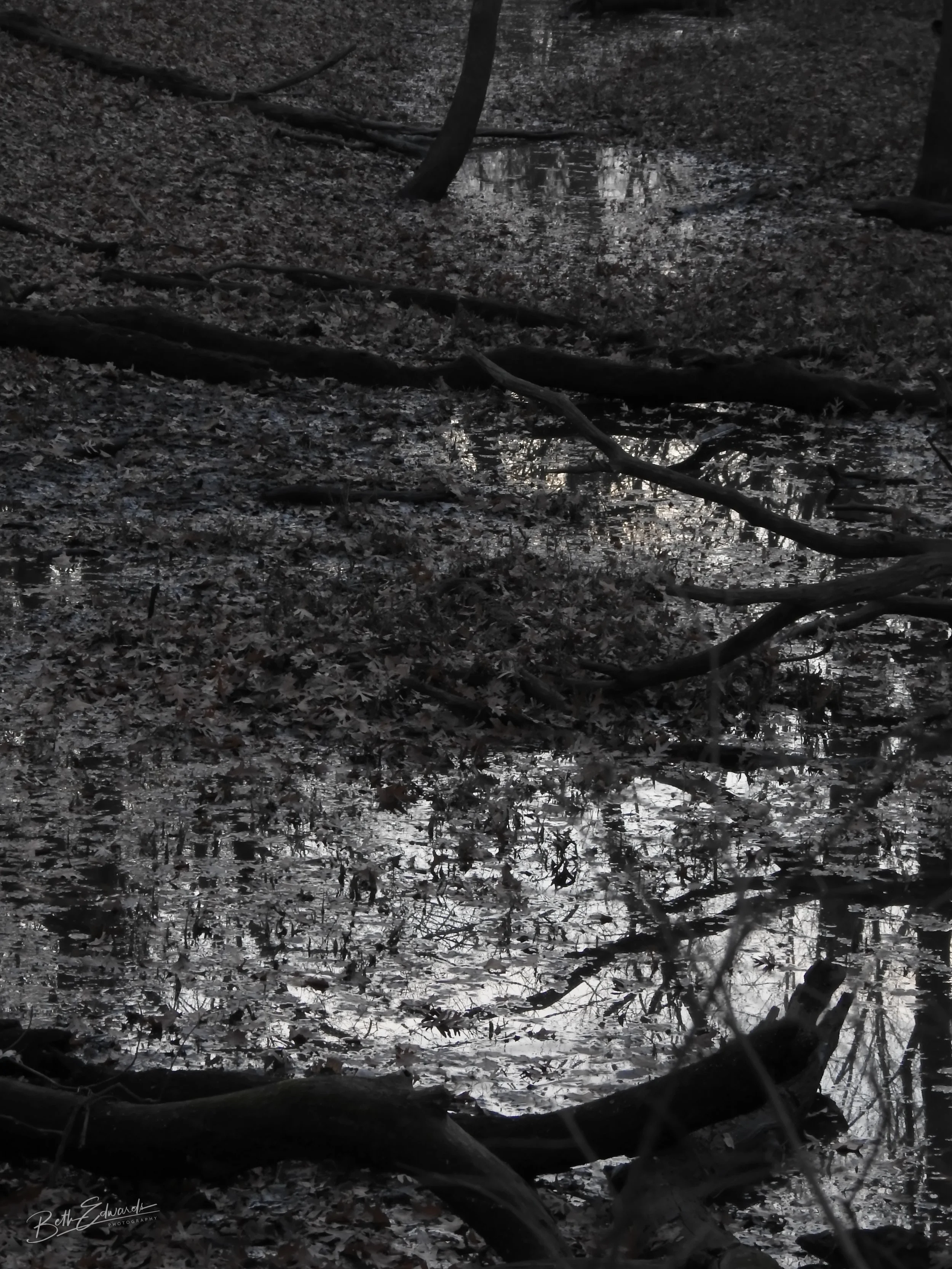 Night Reflections