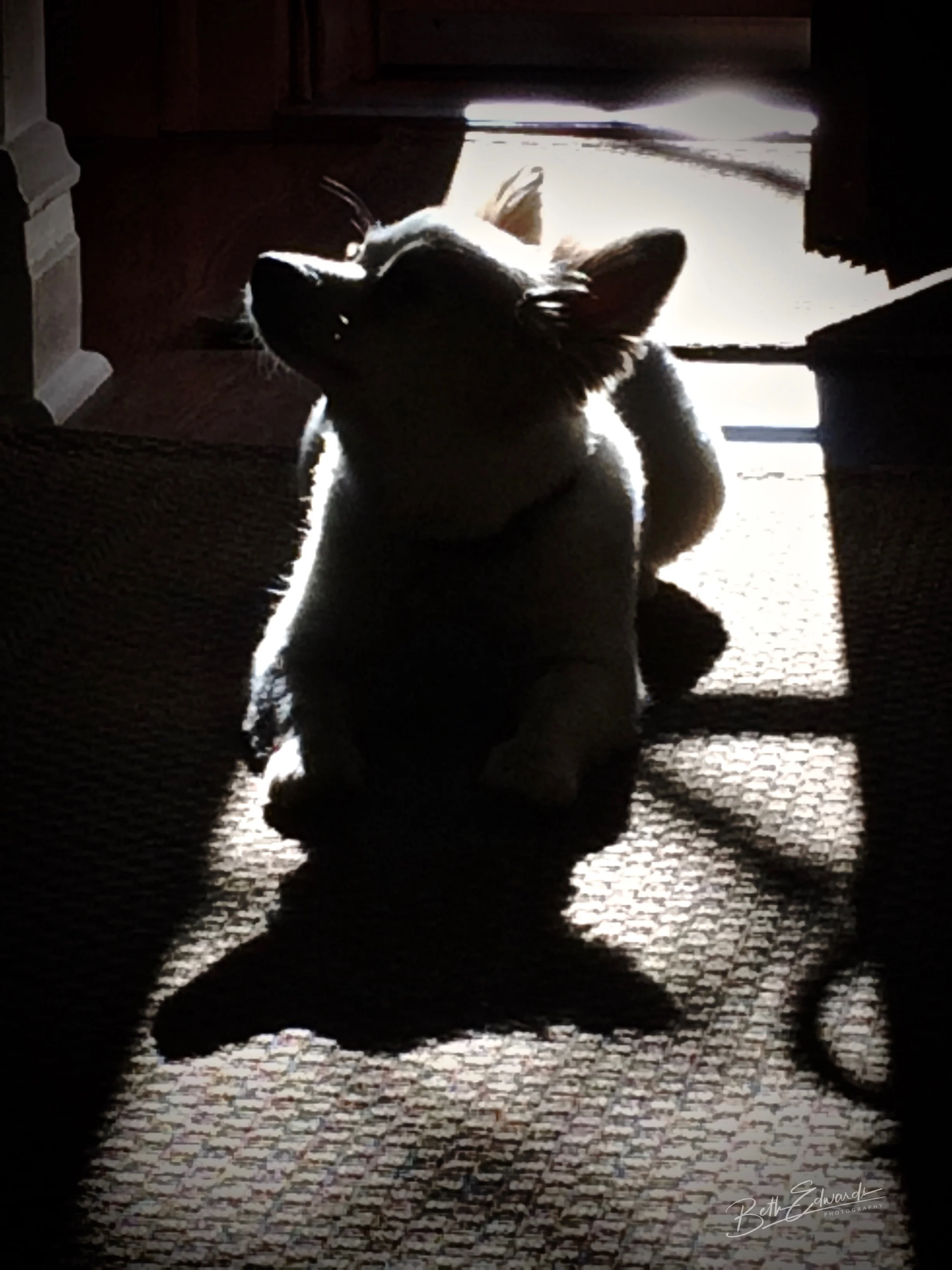 Backlighting