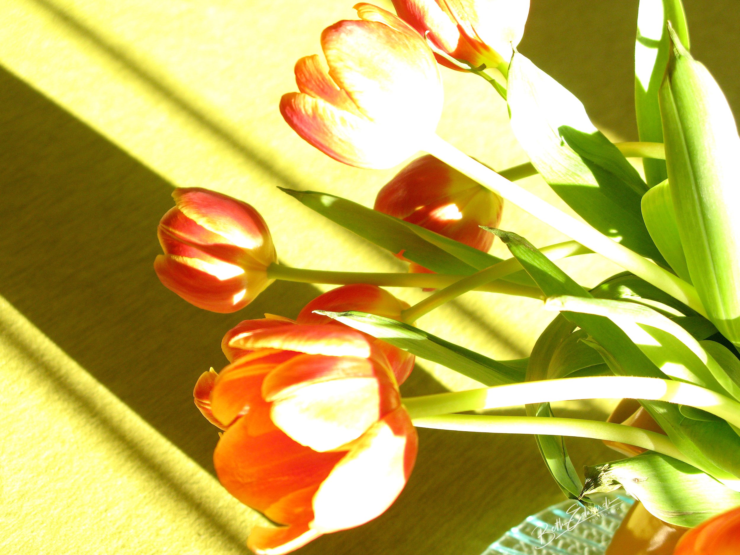 Spring Stripes