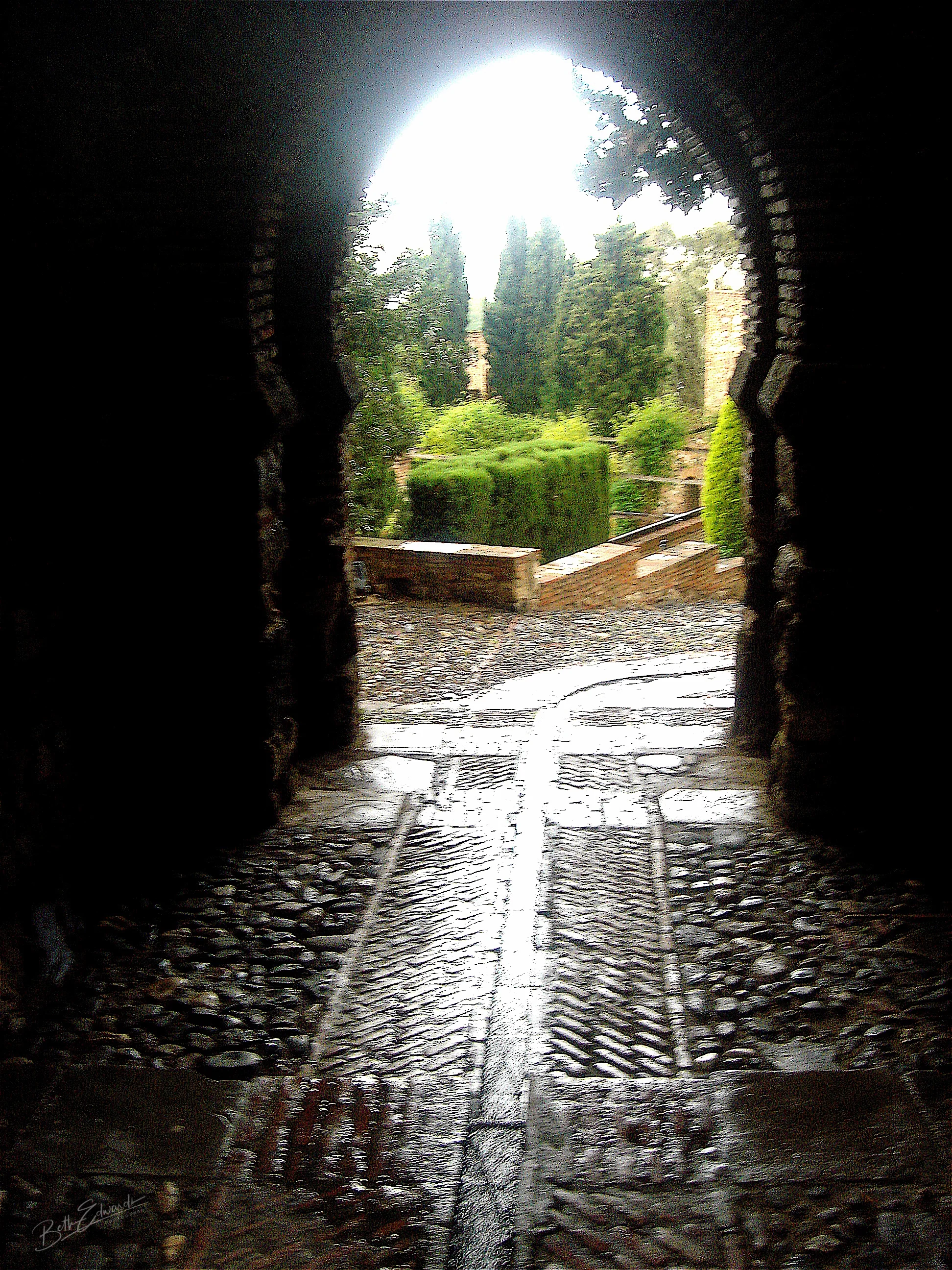 DSC08300-1.jpg