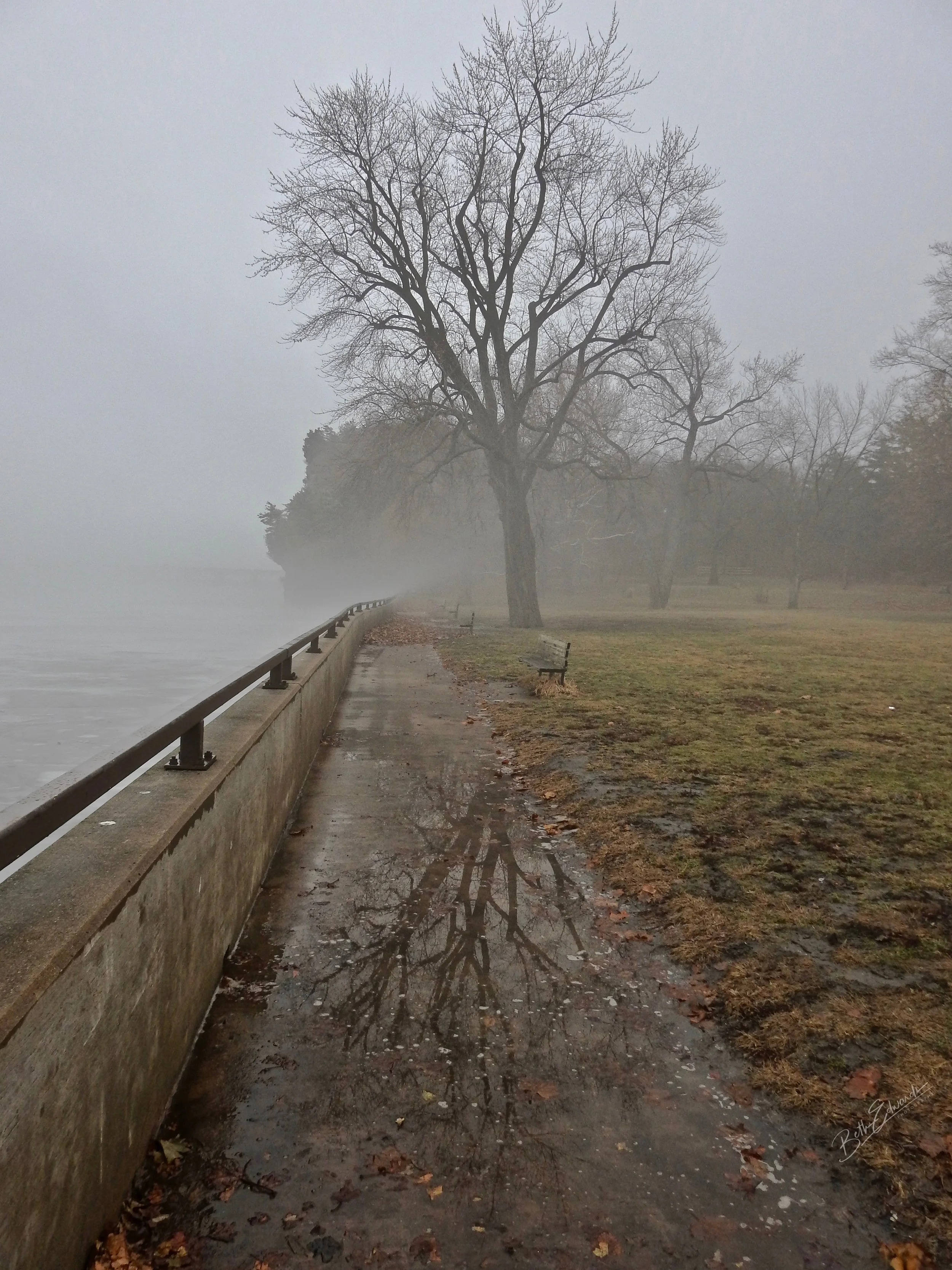 DSCN1201-1.jpg