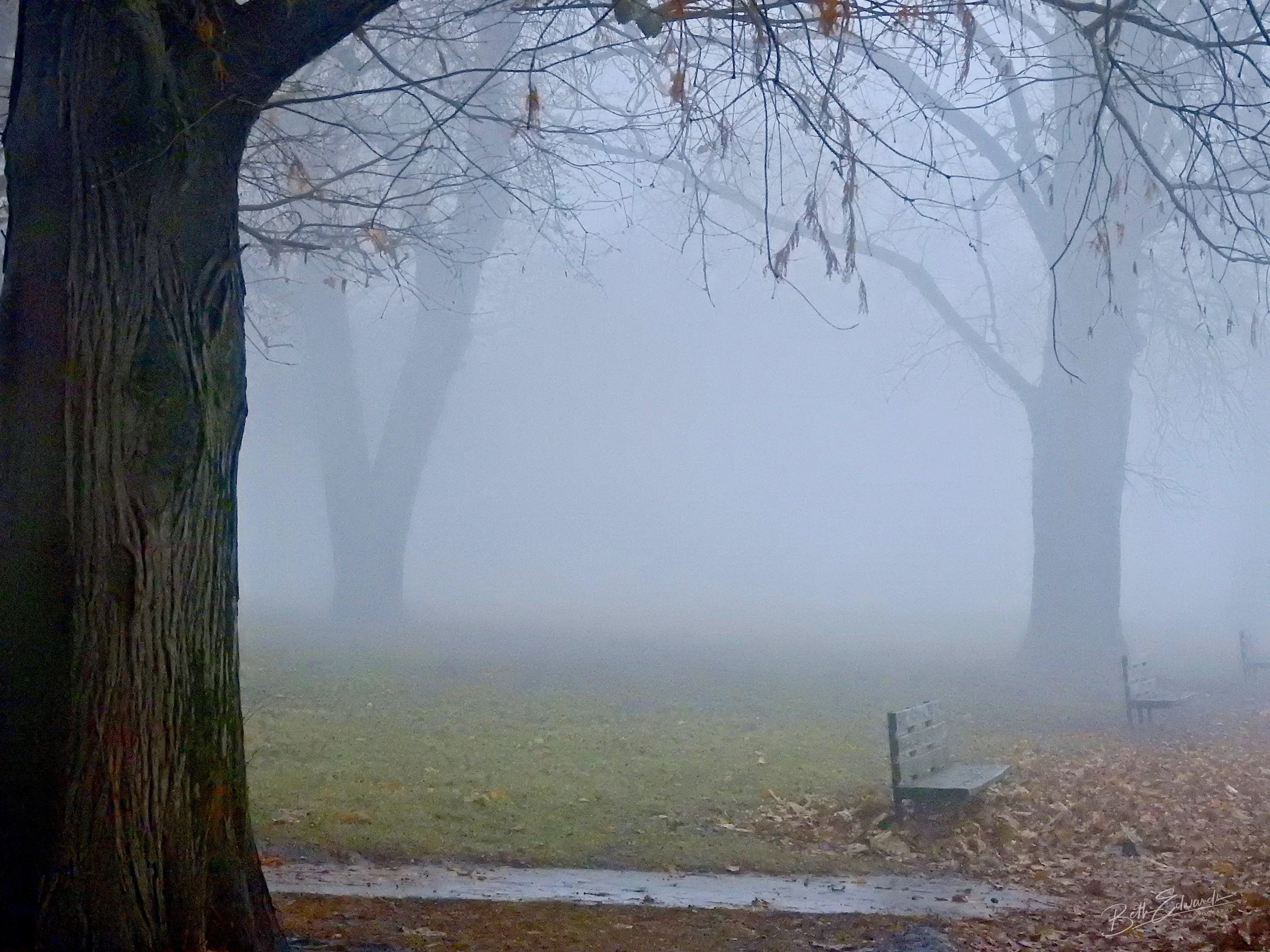 DSCN1398-1.jpg