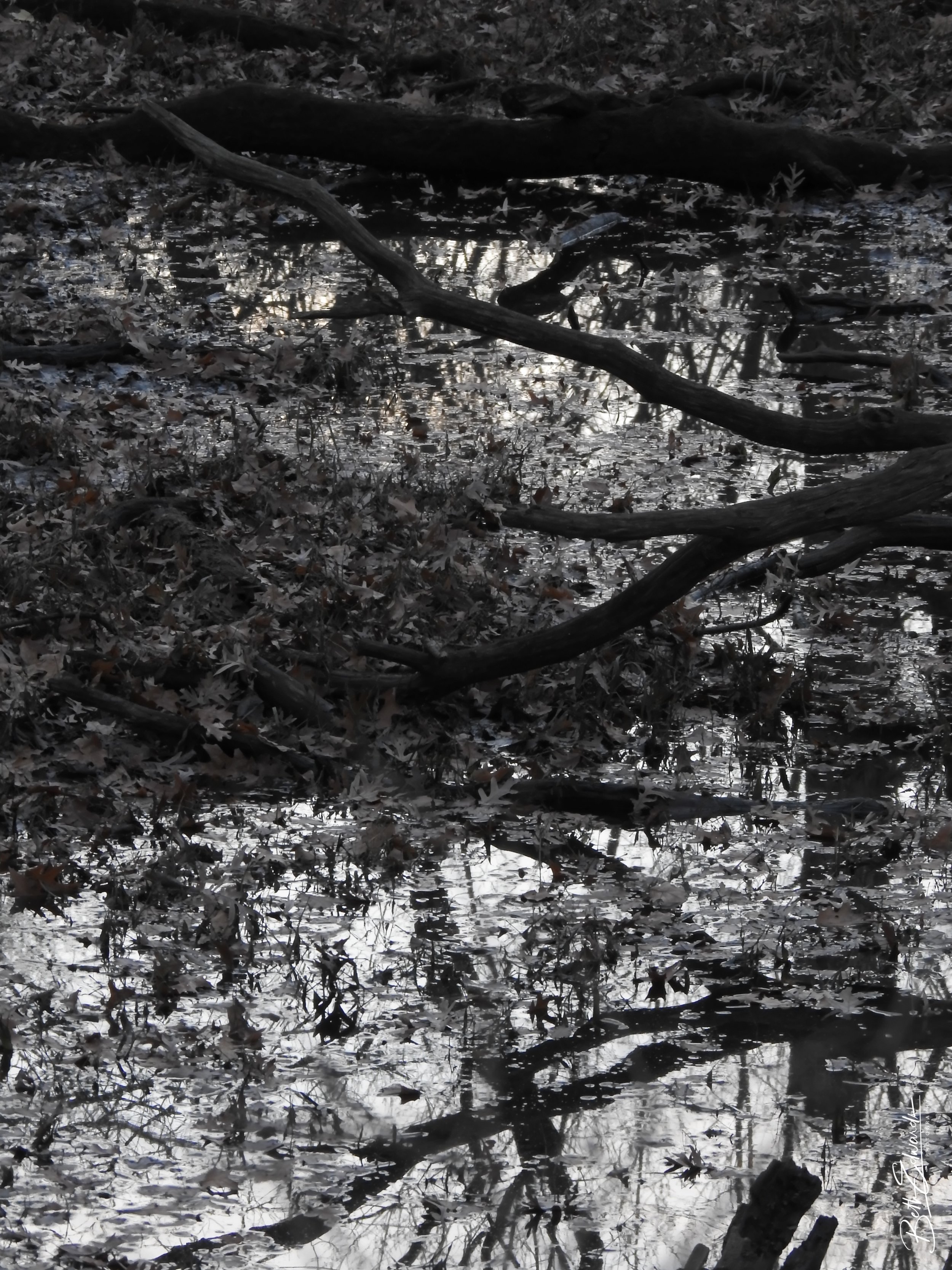 Evening Impressions
