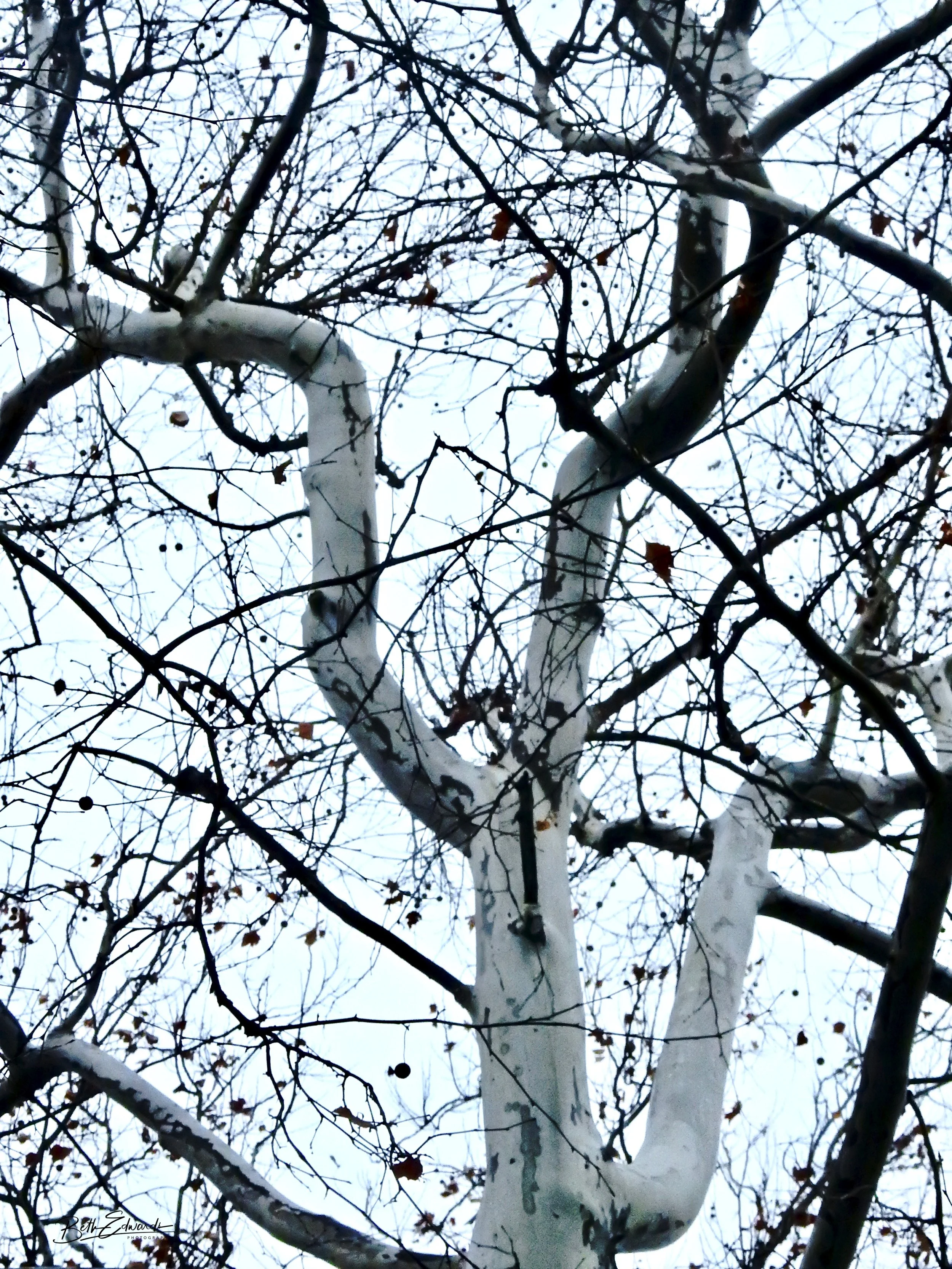 Unusual Branching