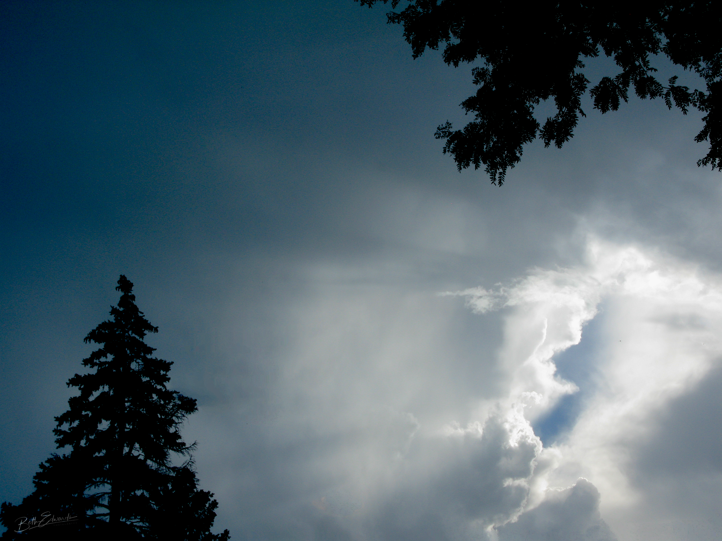 Conch Shell Sky
