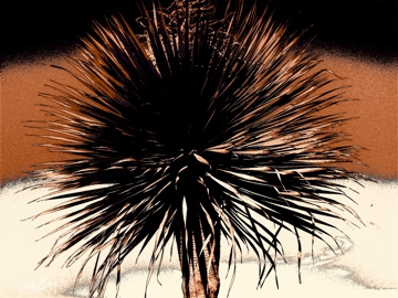 Stratified Palm Tree