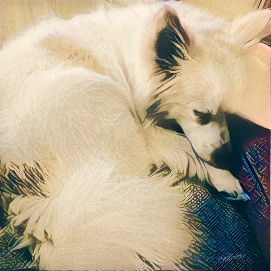 Sleeping 'Lil Guy