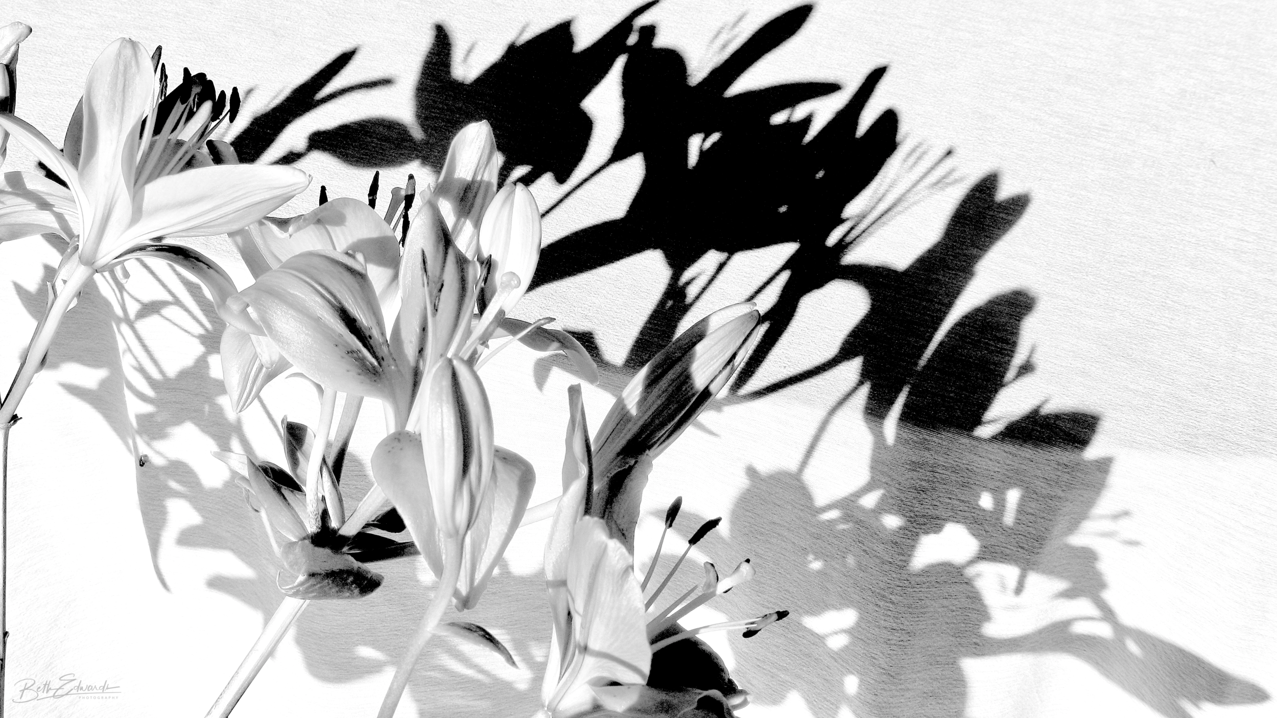 Bouquet and Shadow