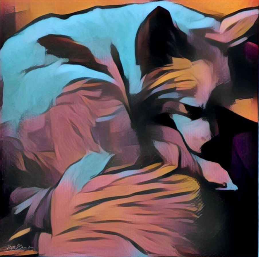 Pet in 4 Colors