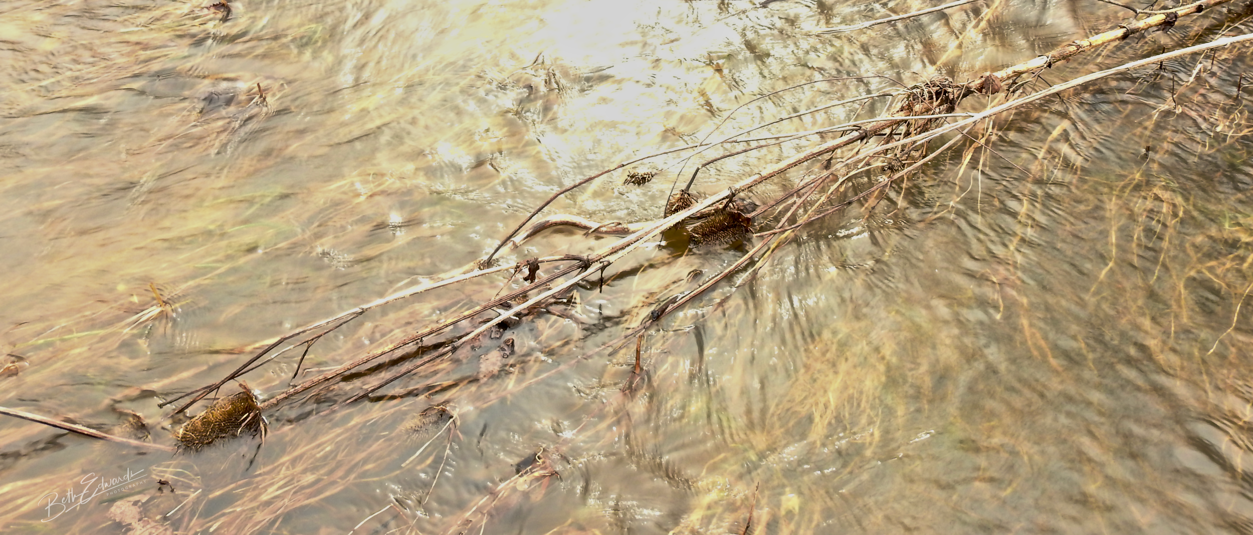 Flood Water