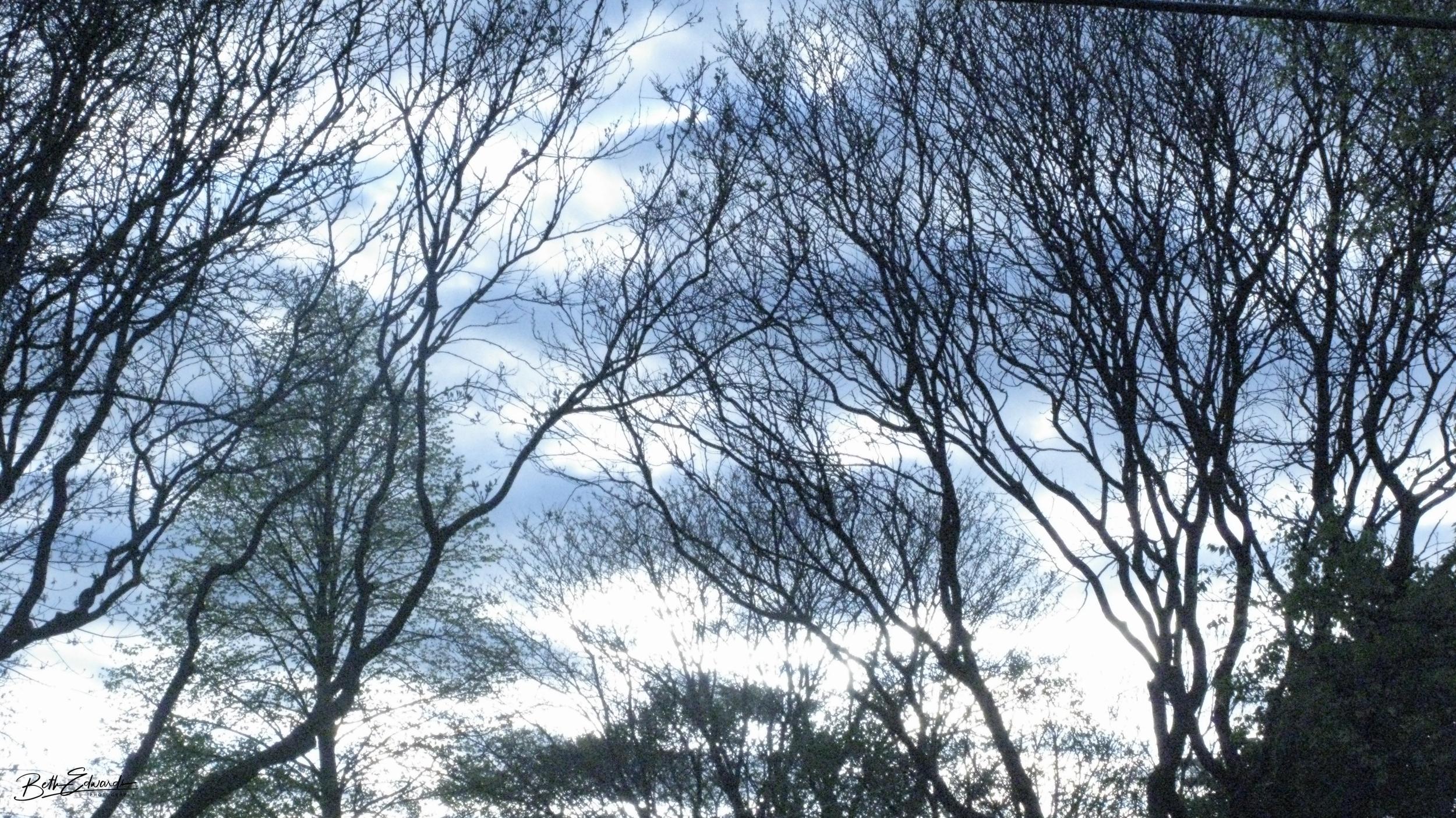 Cloud Impression