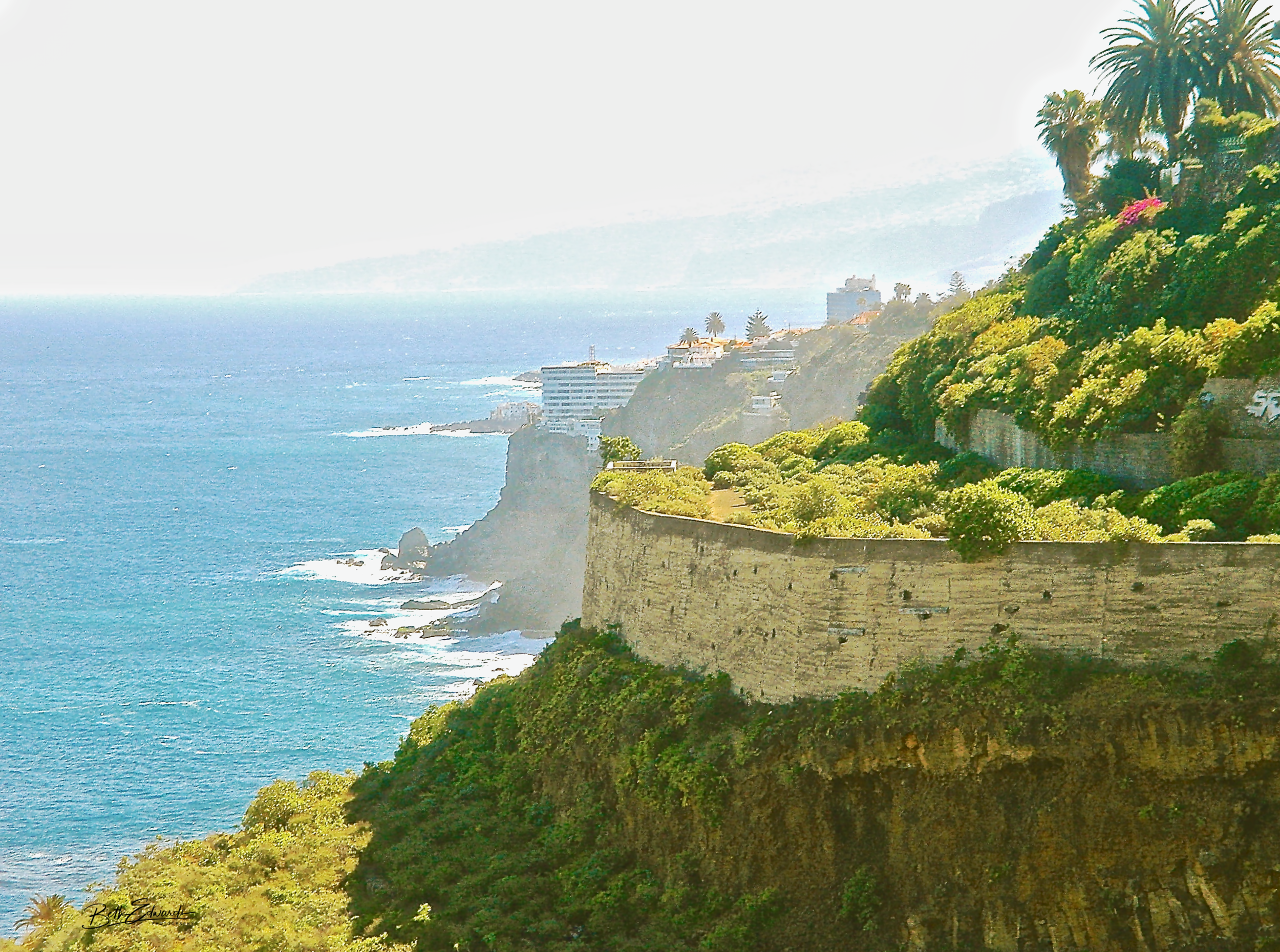 Ocean Meets Island