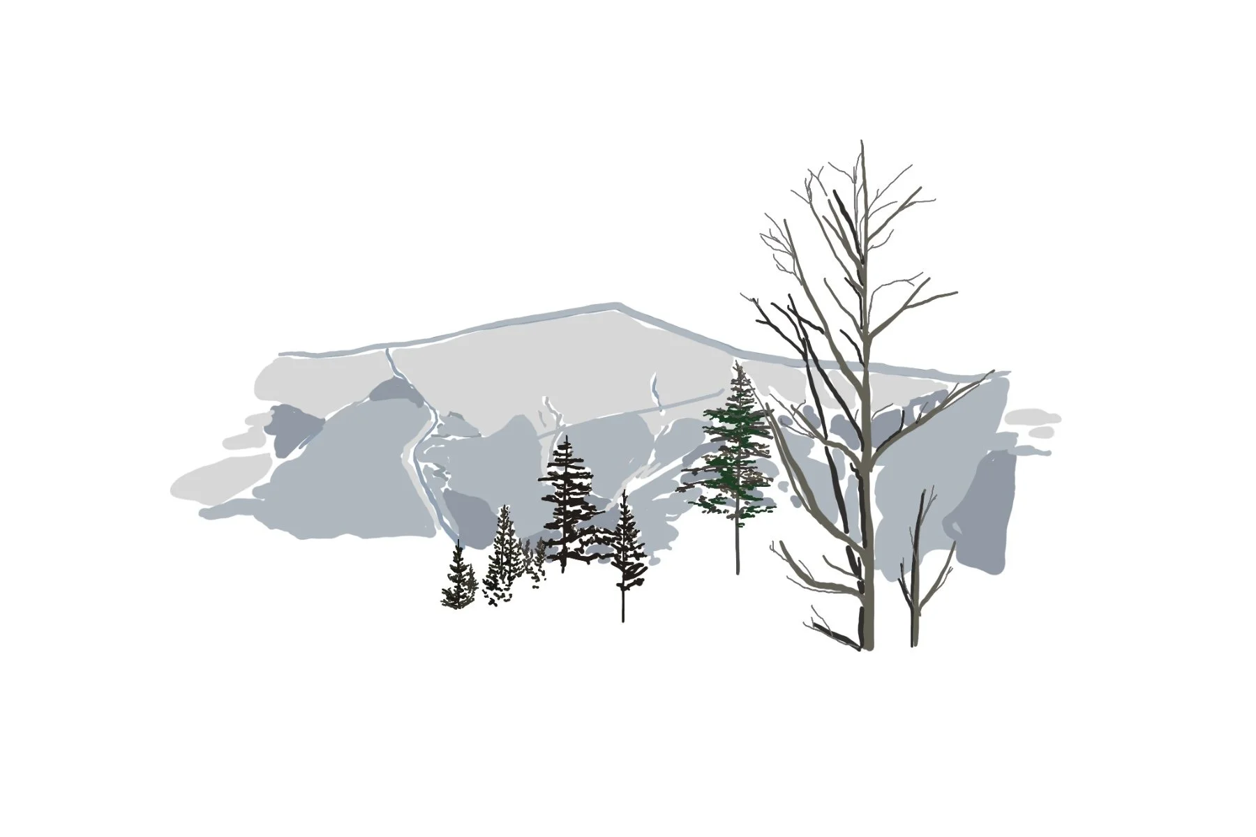 Mt._Washington_-_NH.jpg