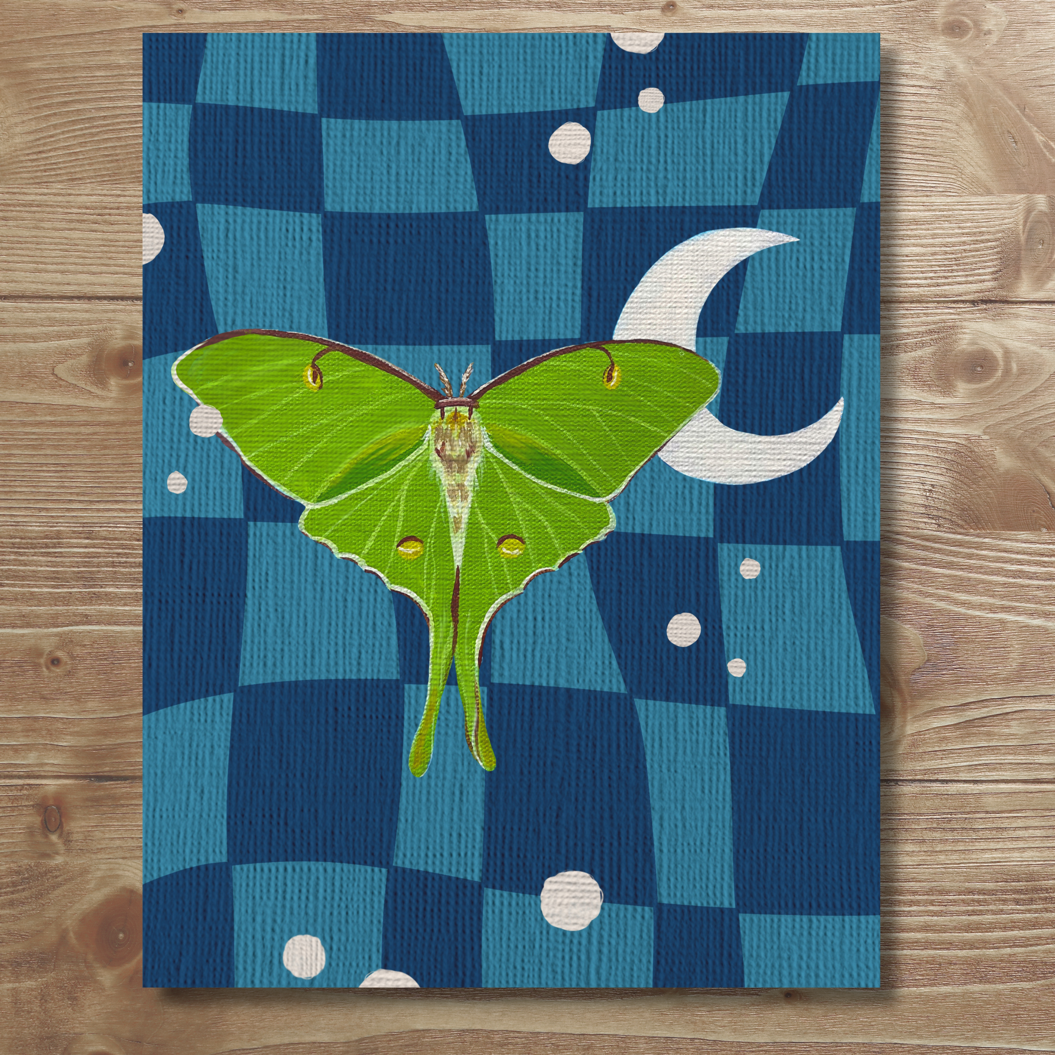 moth-7.png