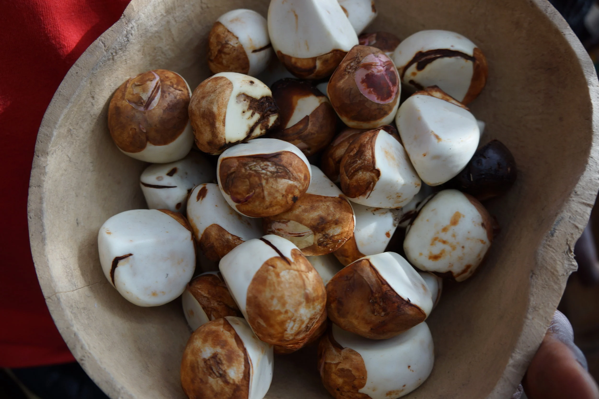 kola_nuts.jpg