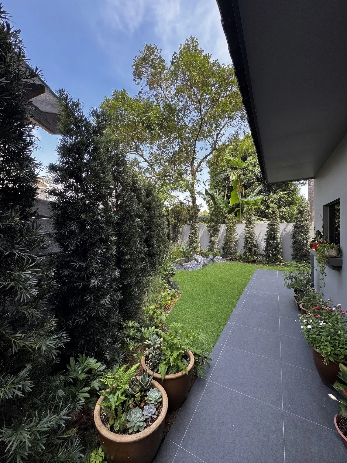 side yard.jpeg