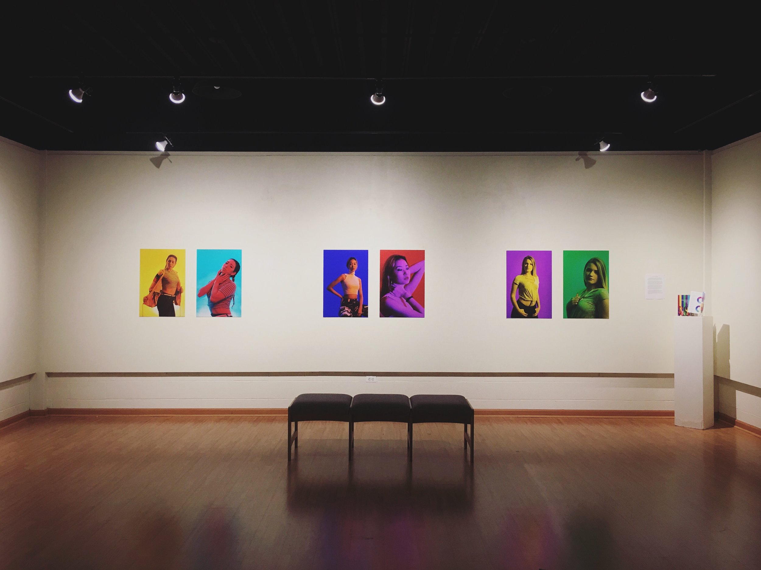  Project hanging in Nutting Gallery at West Liberty University 