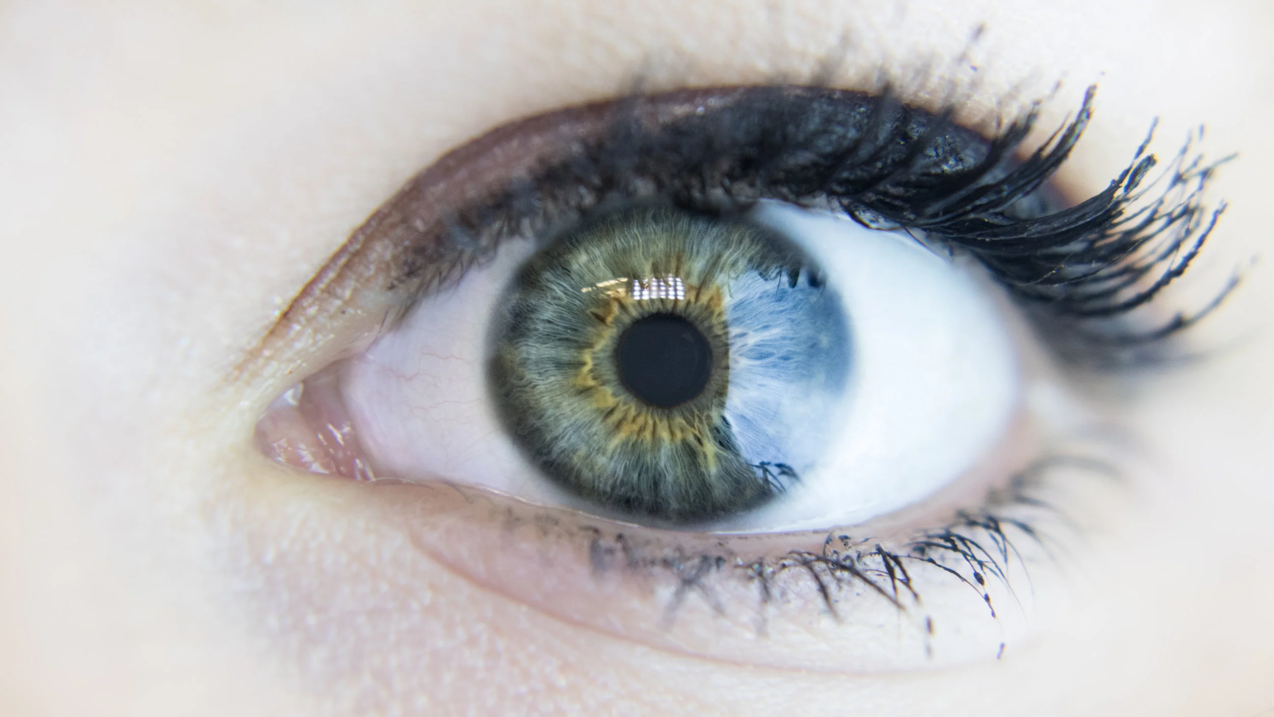 Eye.jpg