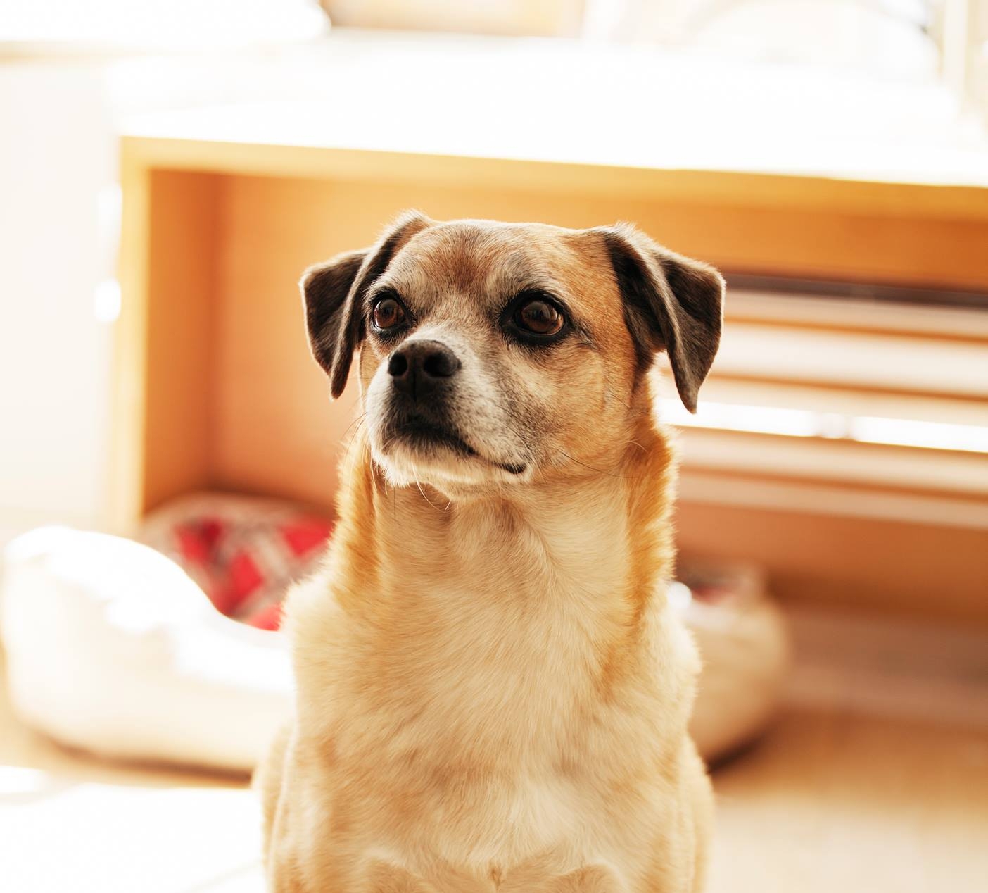 Hector by Jeff Way 1.jpg