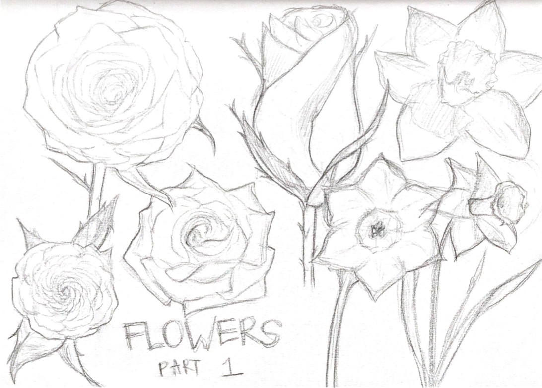 Flower Research for Platonic/Romantic Love