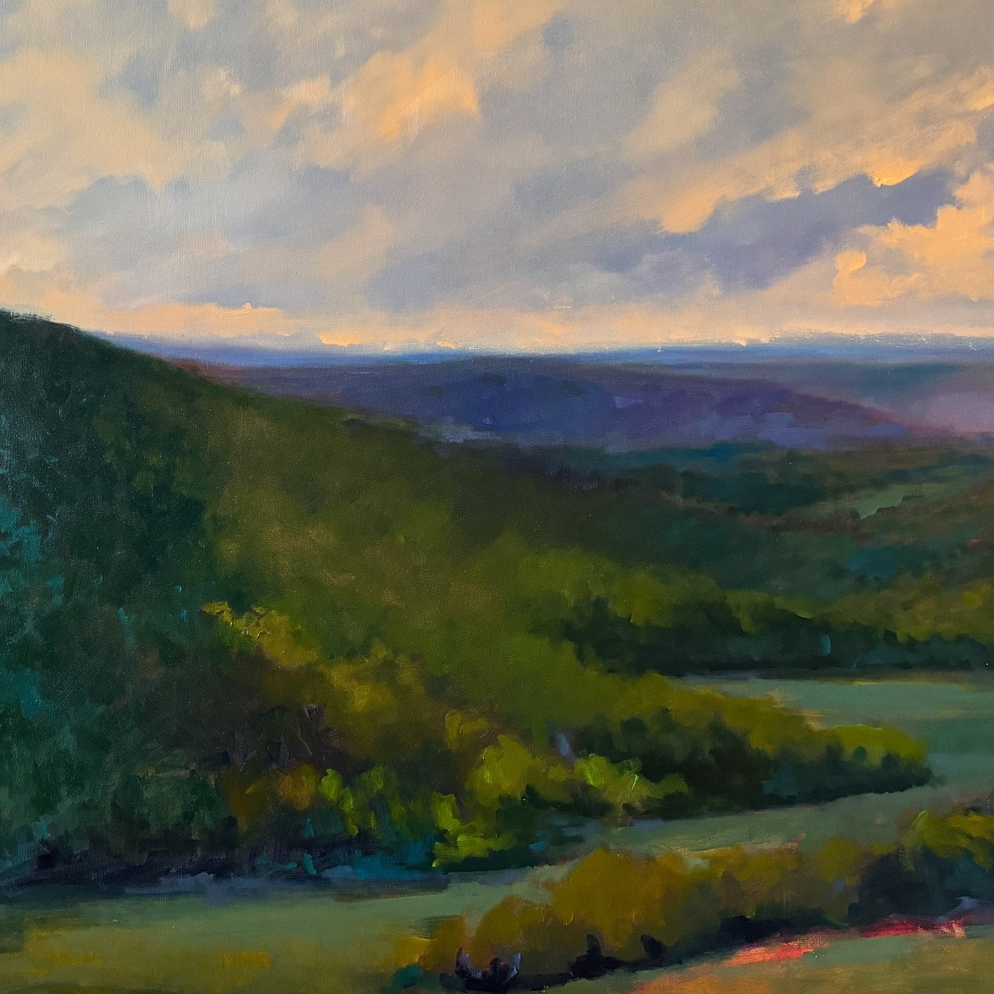 &ldquo;Viewfinders&rdquo; opens on Friday @anneirwinfineart. 

#contemporarylandscape #landscapeshow #blueridge #ncmountains #oilpainting