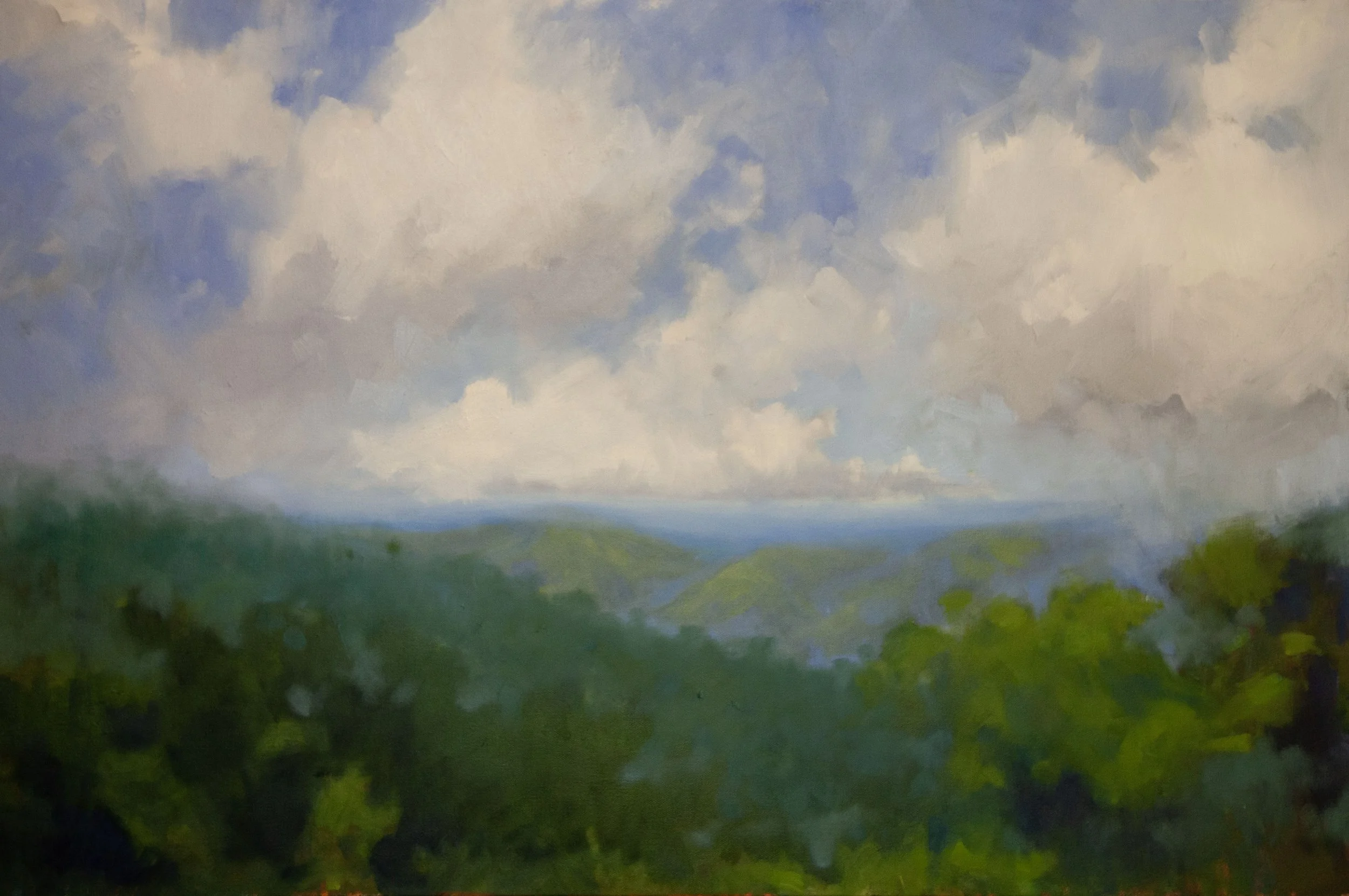 hazy summer view