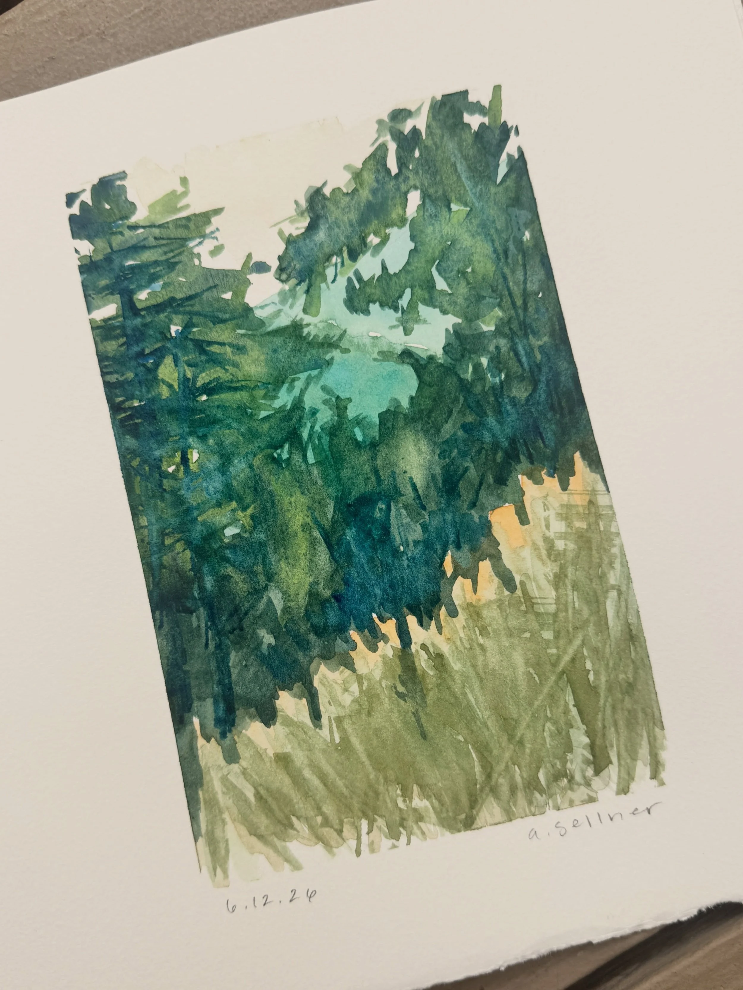 I had a rare week on my own in the mountains. I read. I painted. I wrote. And I was quiet - no podcasts or music. I wanted to listen to that &ldquo;still, small, voice.&rdquo;
I heard the snort of a lone deer in the woods. I was chased by a mama turk