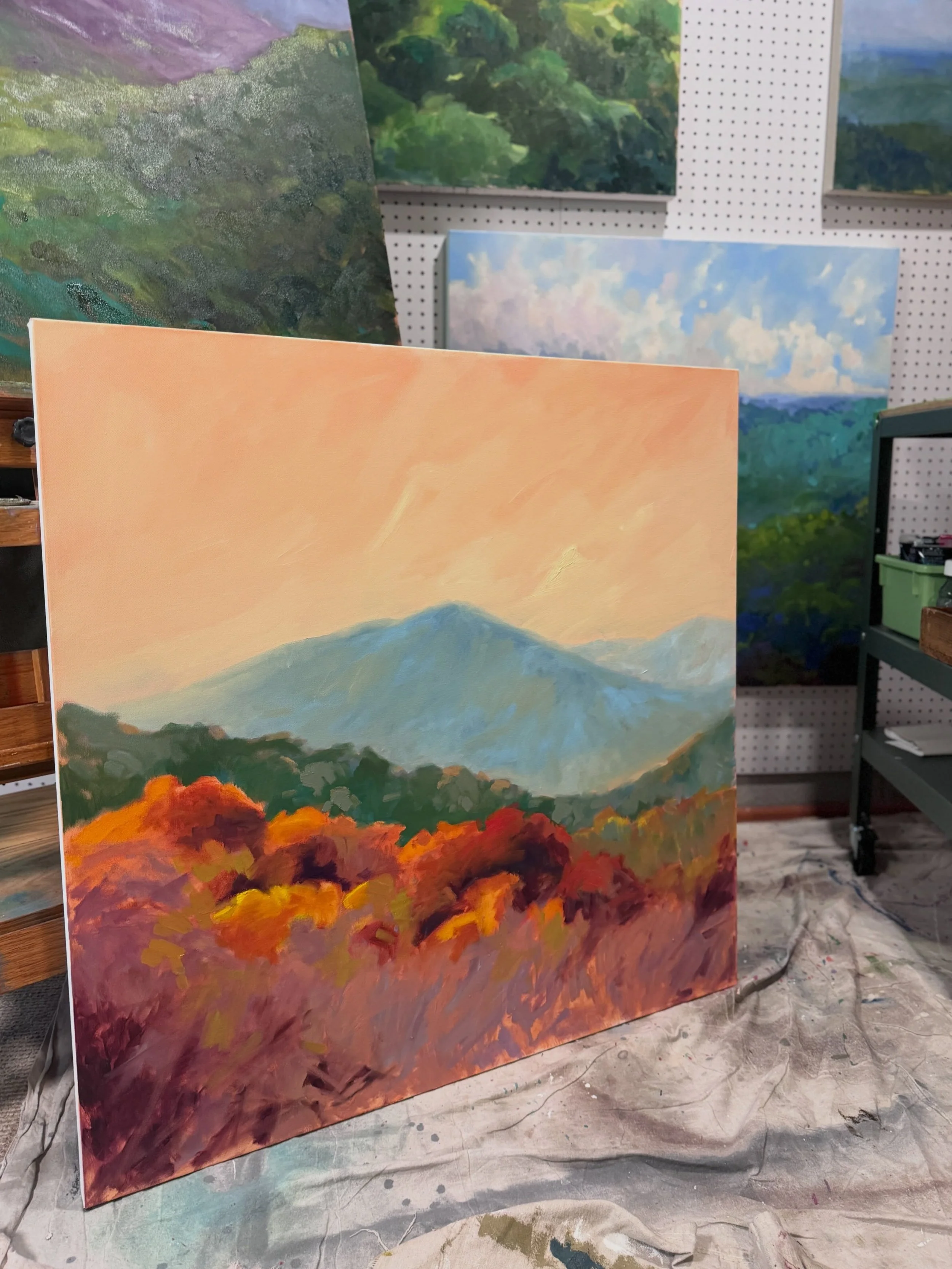 The sun rise is glorious from our back porch in the mountains - light bending and puddling over the ridge, catching the tippy tops of trees on our property. Even as the leaves fall and the naked branches reach skyward, the contrast is vibrant.  The b