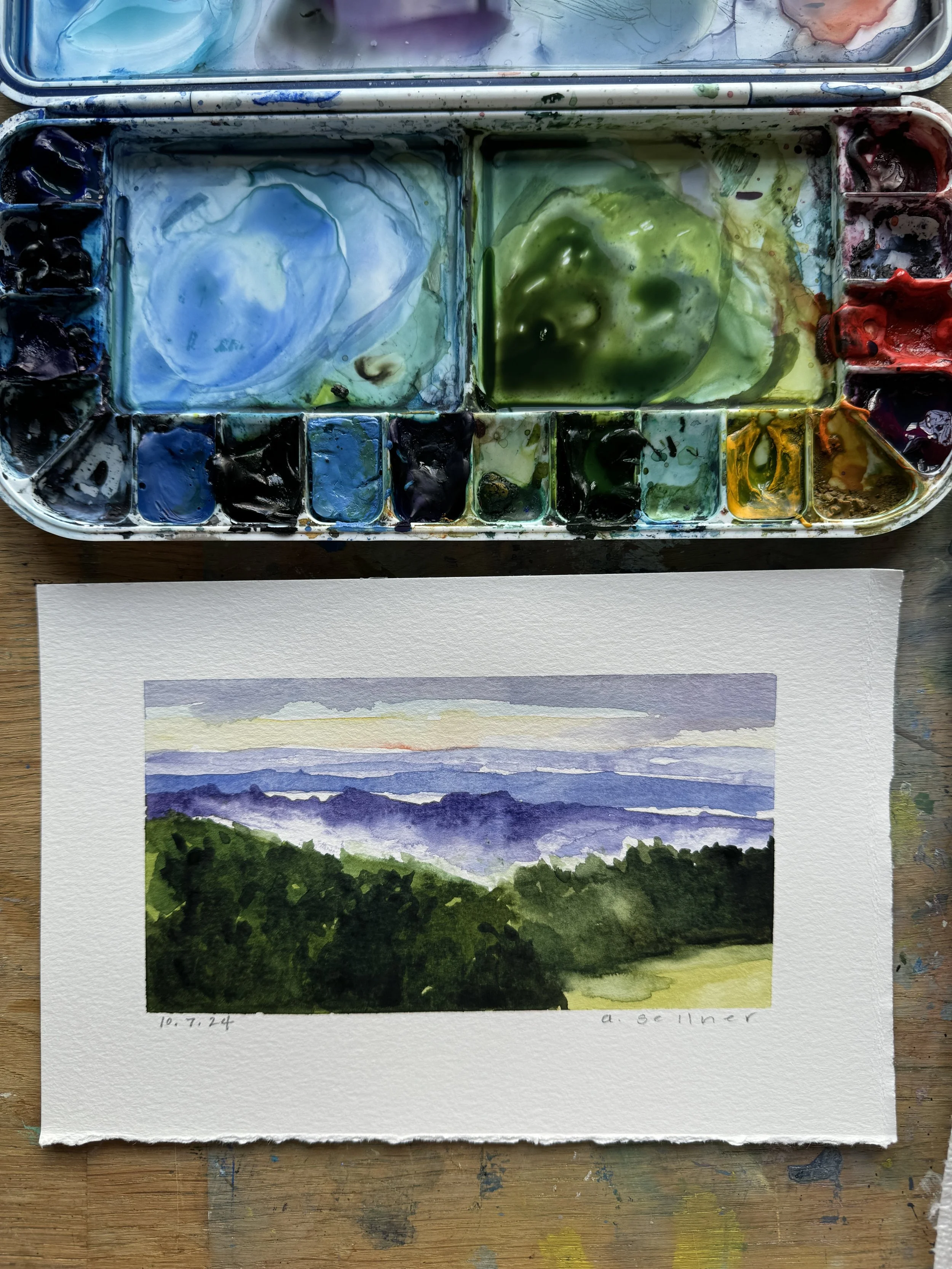 10.7.24 morning mist