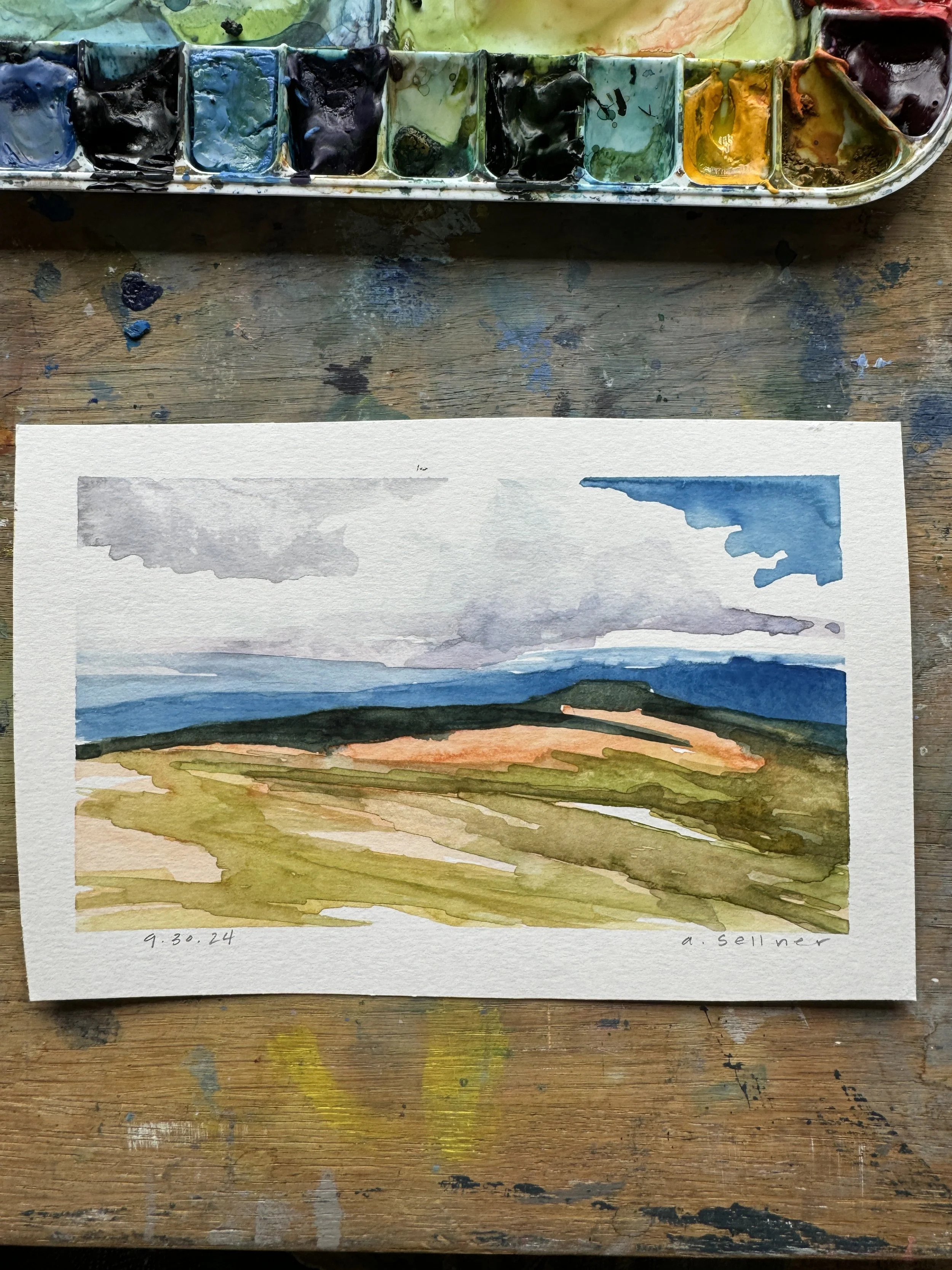 9.30.24 bright grass