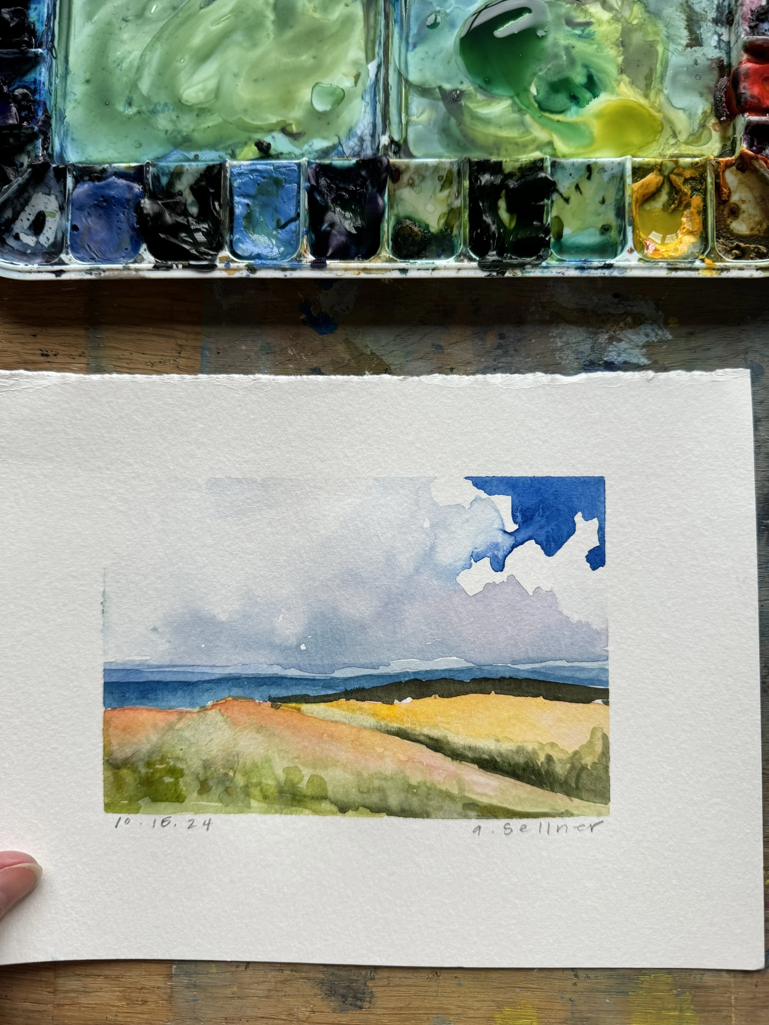 10.16.24 bright grass