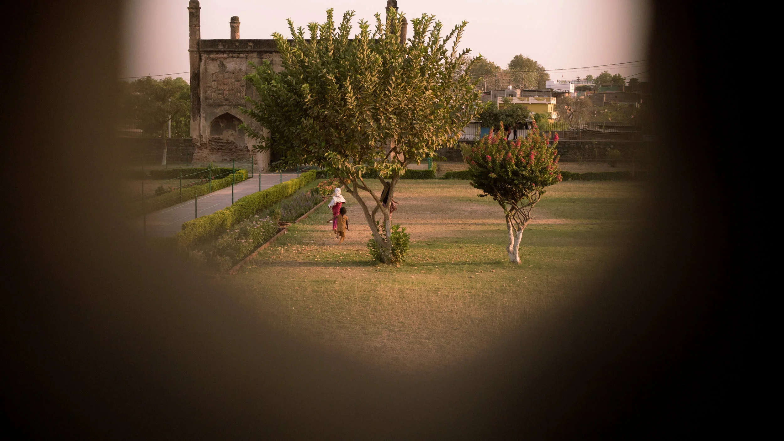 P2590255.jpg