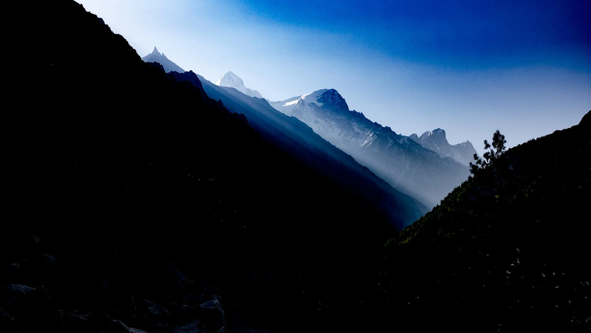 Gangotri National Park