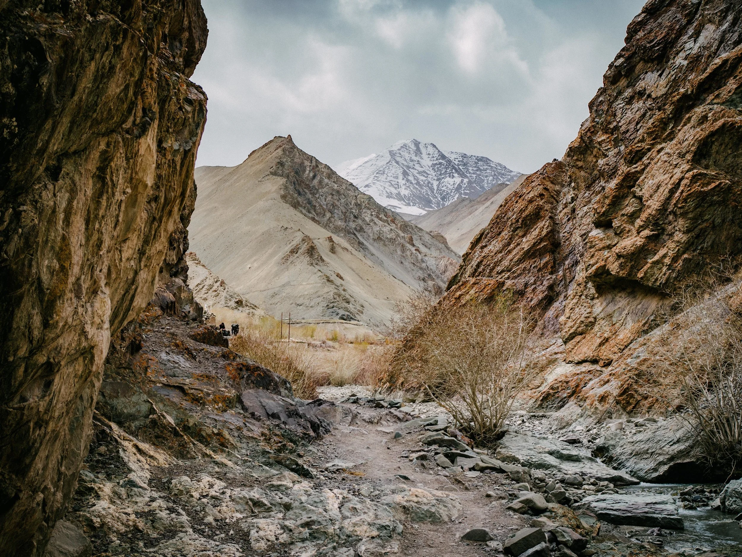 P2730892.jpg