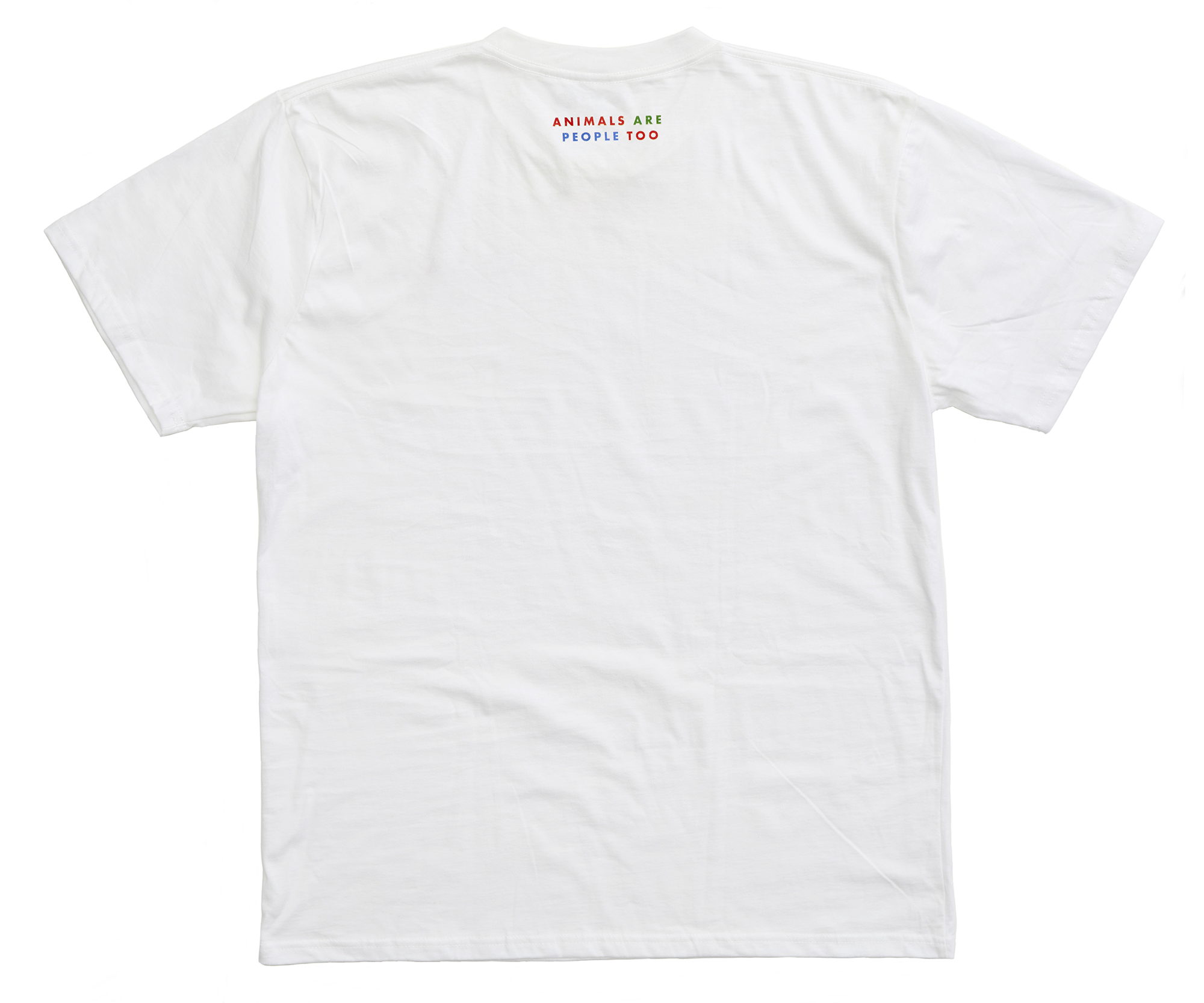 ICS RGB back white.jpg