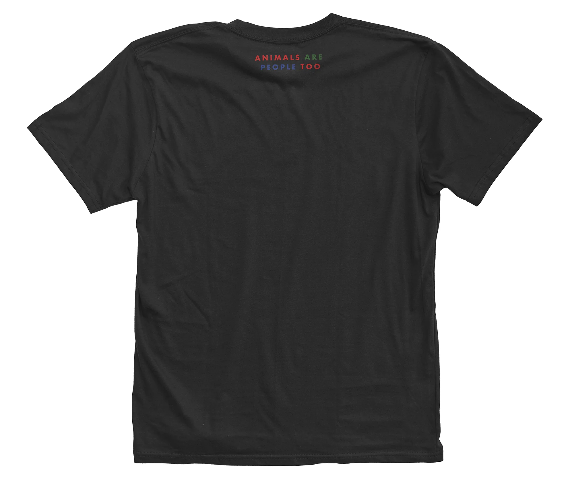 ICS RGB black wht bkgd.jpg