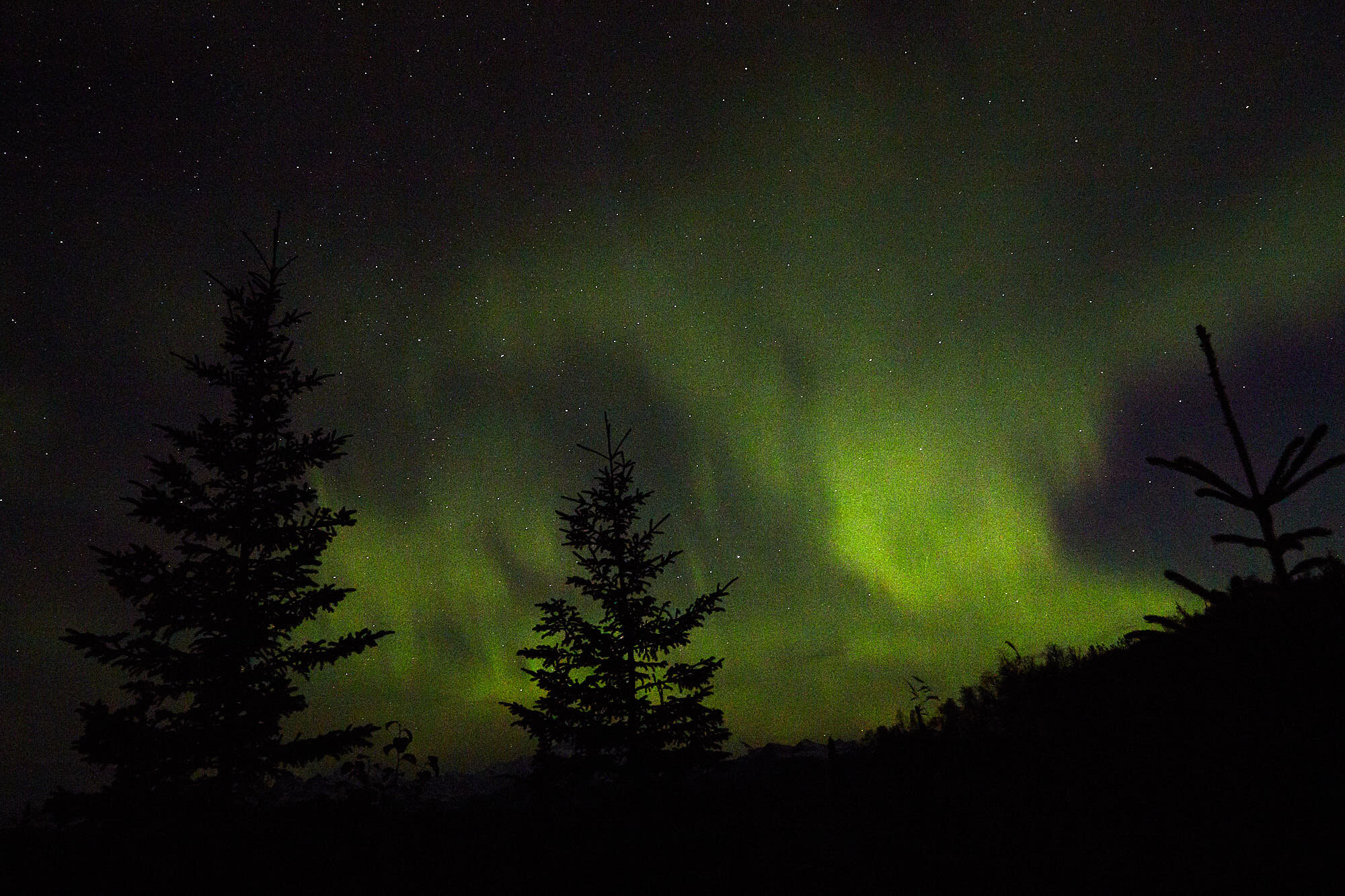 Alaska_Sept_2019_Northern Lights_140.jpg