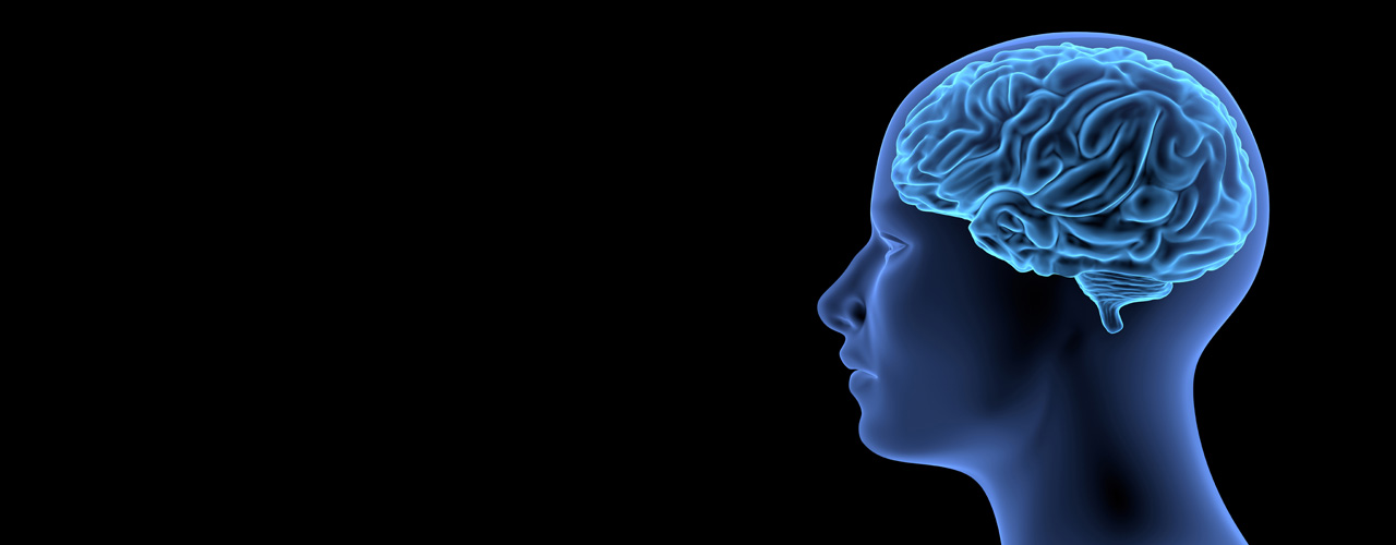 Neuromyths in the Classroom