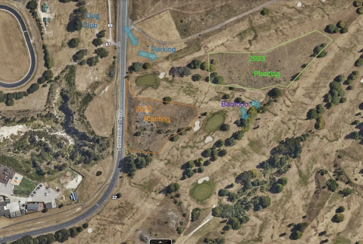 Wicked weeders update