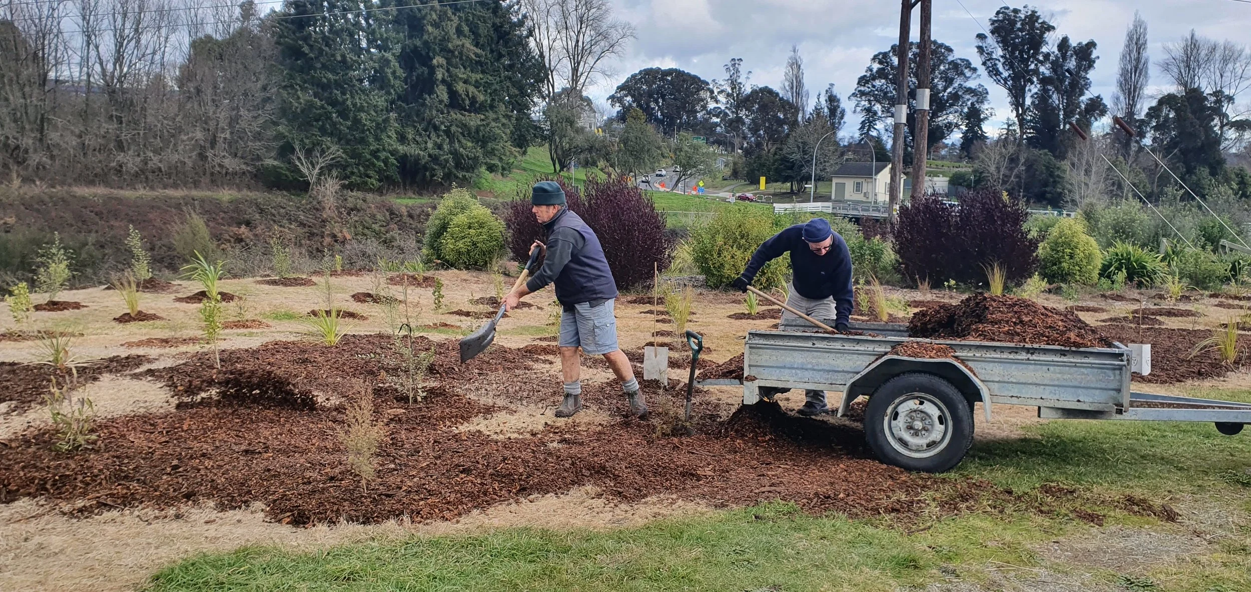 Wicked Weeders Tuesday 22nd
